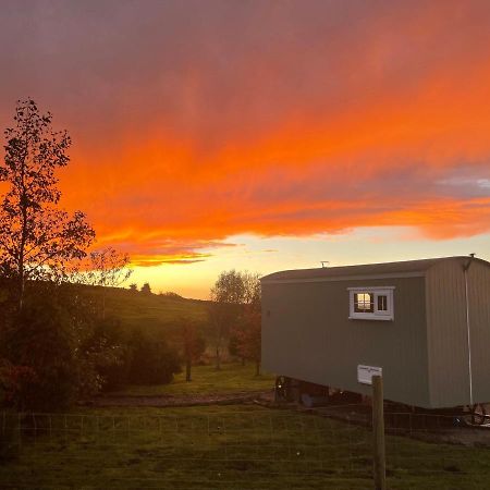 The Buteland Stop Rosie Off Grid Shepherds Hut Bellingham Exteriör bild
