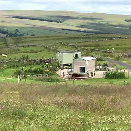 The Buteland Stop Rosie Off Grid Shepherds Hut Bellingham Exteriör bild