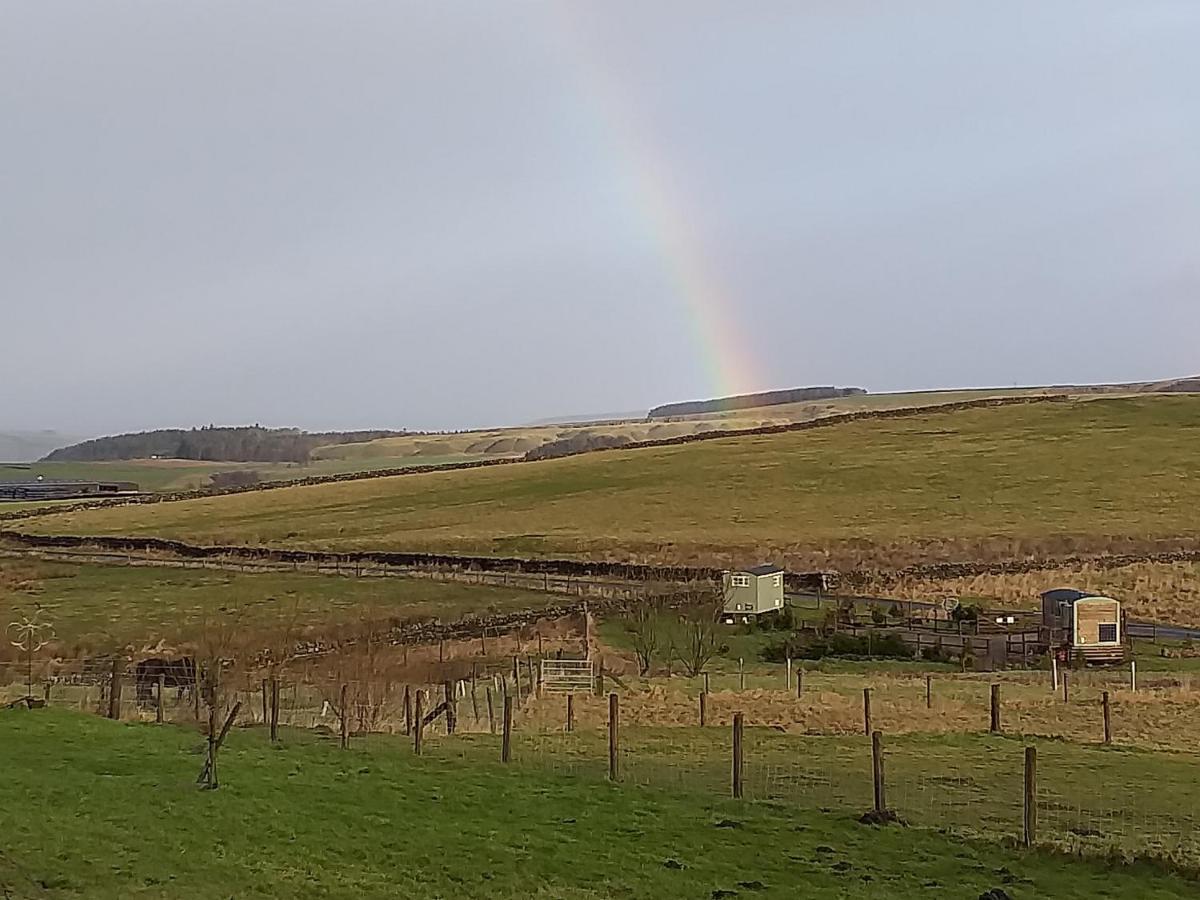 The Buteland Stop Rosie Off Grid Shepherds Hut Bellingham Exteriör bild