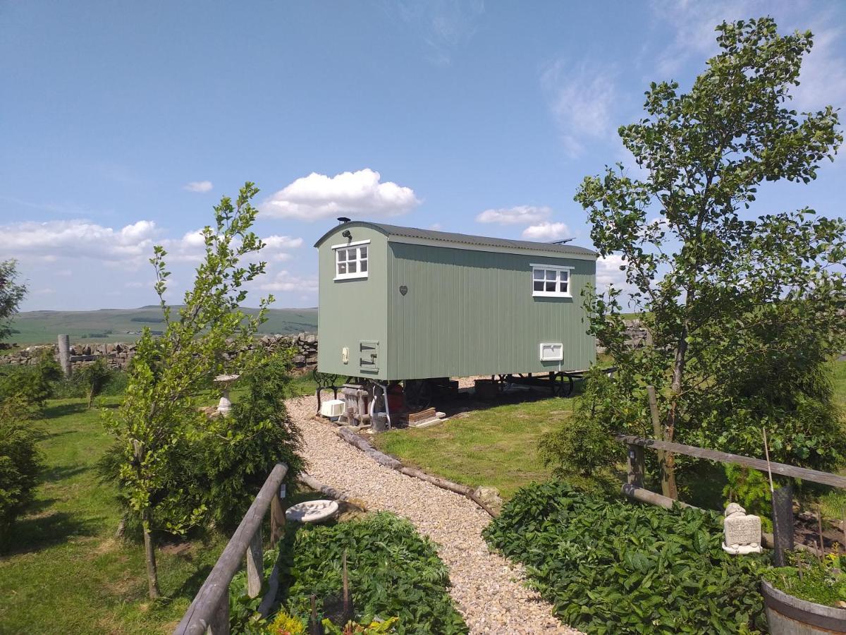 The Buteland Stop Rosie Off Grid Shepherds Hut Bellingham Exteriör bild