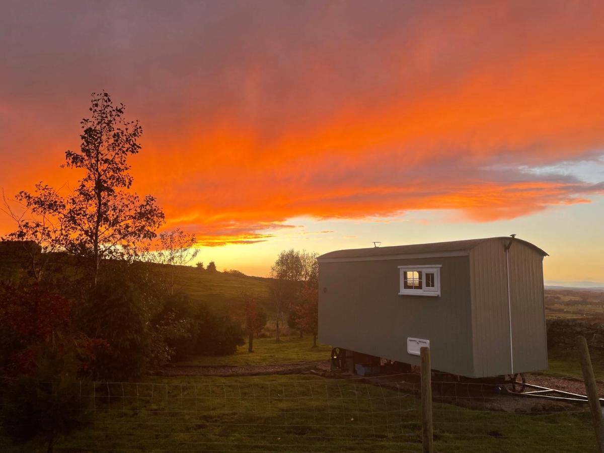 The Buteland Stop Rosie Off Grid Shepherds Hut Bellingham Exteriör bild