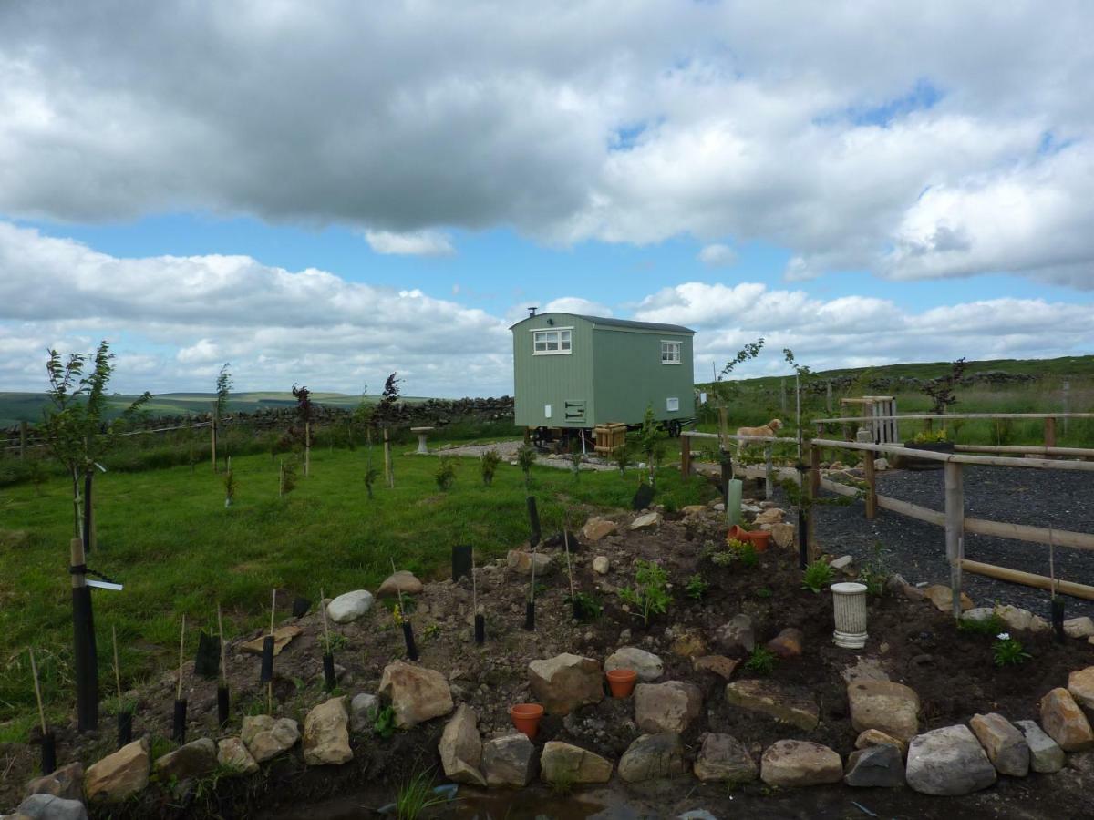 The Buteland Stop Rosie Off Grid Shepherds Hut Bellingham Exteriör bild