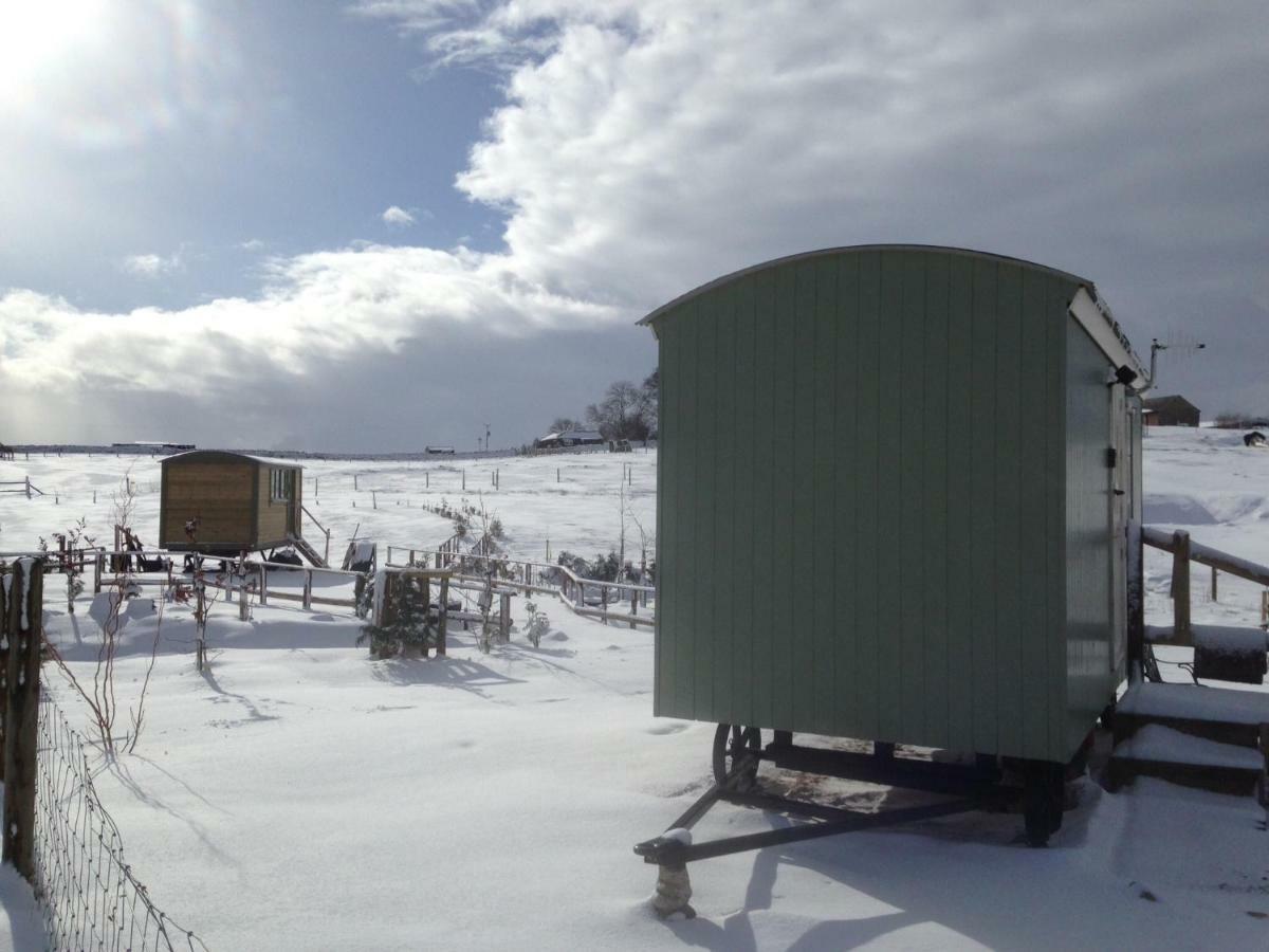 The Buteland Stop Rosie Off Grid Shepherds Hut Bellingham Exteriör bild