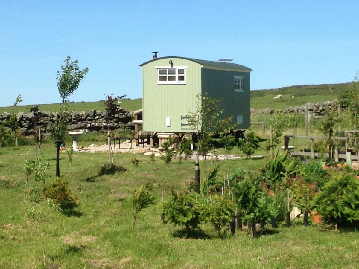 The Buteland Stop Rosie Off Grid Shepherds Hut Bellingham Exteriör bild