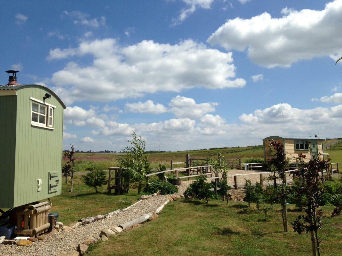 The Buteland Stop Rosie Off Grid Shepherds Hut Bellingham Exteriör bild