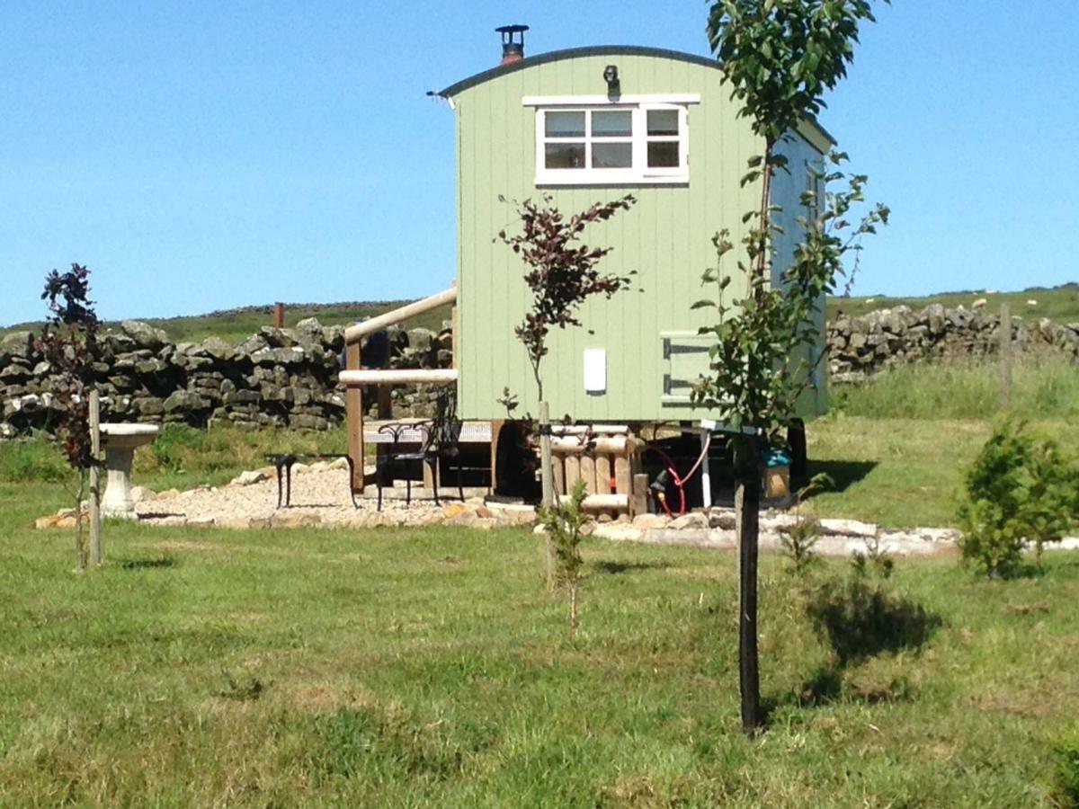 The Buteland Stop Rosie Off Grid Shepherds Hut Bellingham Exteriör bild